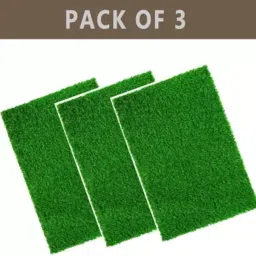 Green Polypropylene, PVC Area Rug-53