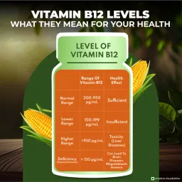 nutrela Vitamin B12 Bio-Fermented Capsules By image 4