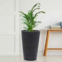 nora 3-Ring Black Polyethylene Floor Planter-picture-24