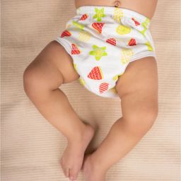 Fruity Reusable Cloth Training Diaper Panty /Nappies /Langot for Newborn-13