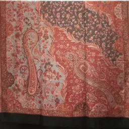 PASHTUSHS Wool Printed Women, Men Shawl-image-40