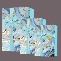 Printed Party Box-picture-16