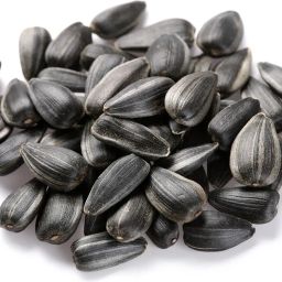 SUNFLOWER SEEDS FOR BIRD - BLACK OIL SEEDS, for Bird Feeding, 500 Grams 1 kg Dry Adult Bird Food-image-76