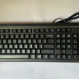 HP K100 Series Wired USB Standard Desktop Keyboard Compatible with Desktop, Laptop, Mac stand support image 4