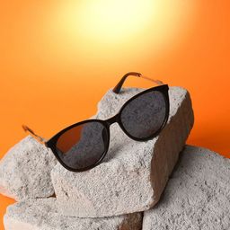 French Accent Men Butterfly Sunglasses with UV Protected Lens SS23FA_HSSG1107-53