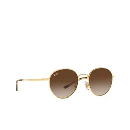Ray-Ban Unisex Brown Lens & Gold-Toned UV Protected Oversized Sunglasses 8056597530972-13