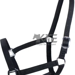 Halter Horse Bridle-28