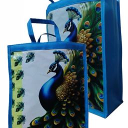 Printed Party Bag-image-11