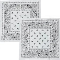 S4S Pack of 2 Double Side Print Unisex Pure Cotton Bandana (21 INCH X 21 INCH) ["White"] Handkerchief-image-32