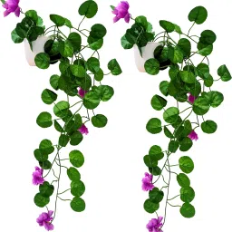 Artificial Flower Vine Plant Falling with Pot : Pack of 2 (Natural Touch & Feel) Wild Artificial Plant with Pot-9