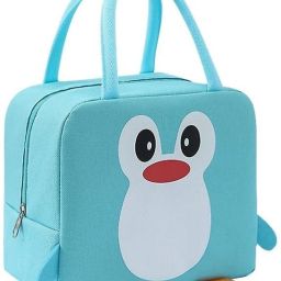 Insulated Lunch Bag Small for Office Men Women and Kids Canvas Tiffin Bags Lunch Bag-image-4