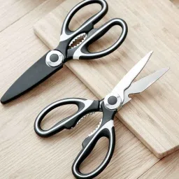 regalo Stainless Steel Scissors With Protective Cover-picture-31