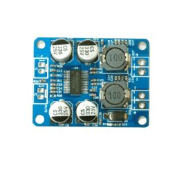 TPA3118 PBTL Mono Digital Amplifier-4