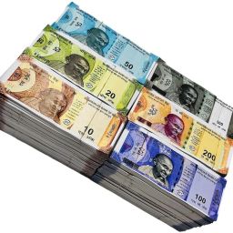 Combo (50 Each x 6=300 Nakli Note) Playing Indian Currency Notes for Fun Paper Kids churan wale Note Nakli Note-10,20,50,100,200,500 Nakli Indian Notes Gag Toy-8