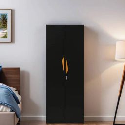 mintwud from pepperfry Maya 2 Door Wardrobe In Wenge Finish-picture-25