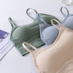 Pack of 3 Women Everyday Lightly Padded Bra-image-2