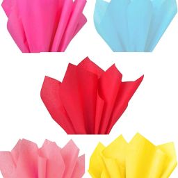 25 Pc Mixed Color Tissue Paper/Non Woven Fabric for Gift/Flowers Making and Bouquet Wrapping 24 Inch x 28 Inch-23