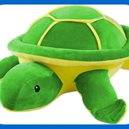 SWARAH NYLEX SOFT TOYS TORTOISE FOR KIDS 30CM-1 - 30 cm-image-20