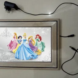, CINDERELLA MODAL NO-50 , 15.5 inch LED PHOTO FRAME-17