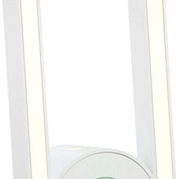 Pendant Wall Lamp With Bulb-picture-32