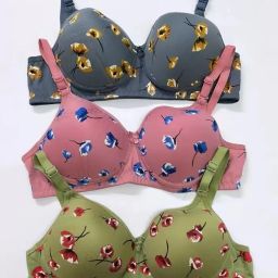 Pack of 3 Women Push-up Lightly Padded Bra-image-59