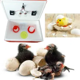 100 egg semi EPS THM two fan holders, with 1.5 kg feeder and 1.5 Ltr drinker, Egg Incubator-29