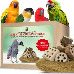 Essential Natural Chewing Wood Toy for Conure, African Grey, and Other (8 pcs.) Wooden Chew Toy For Bird-picture-19