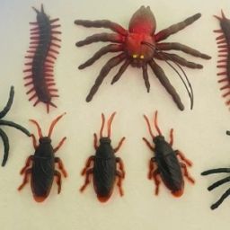 animal toys cockroach,spider and centipede kankhajura gang (set of 8) gang toys Gag Toy-image-7