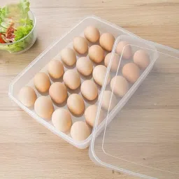 Plastic Egg Container - 2 dozen-26