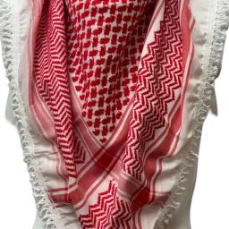 KASHMIR HANDLOOM Cashmere Woven Men Shawl-image-13