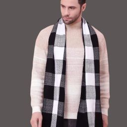 Paryag Checkered Men Muffler-image-14