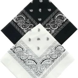 shiveyeexport Black & White paisley 20inchesx20inches cotton handkerchief ["Black& White"] Handkerchief-3