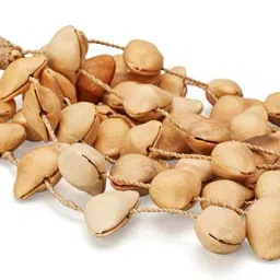 Kenari Seed Shell Large Shaker Percussion-image-11