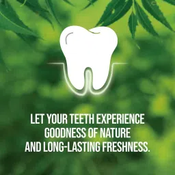 neem ACTIVE TOOTHPASTE Toothpaste image 3