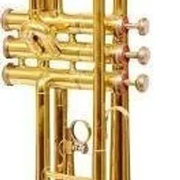 Standard TRUM-22 Gold Bb Trumpet for Beginner or Advanced - Musical instrument - Shinny Gold Bb Trumpet-14