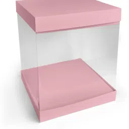 Cake Box Plastic Packaging Box-22