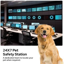 zimaxx Collar and Track It Accurately Through App Anytime You Want for Cats and Dogs Location Smart Tracker image 2