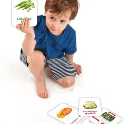 clapjoy Double Sided Early Learning Flash Cards For Kids 2 year & above Combo of 5( image 5