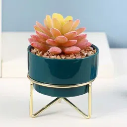 Multicolour Polyurethane Artificial Succculent Plant in Ceramic Pot with metal Stand by Fourwalls-picture-31