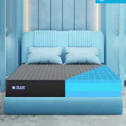 the sleep company Ortho Pro SmartGrid 8 inch HR Foam King Size Mattress with Grid Layer-picture-44