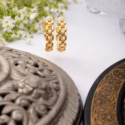 Niscka Gold-Plated Contemporary Hoop Earrings-23
