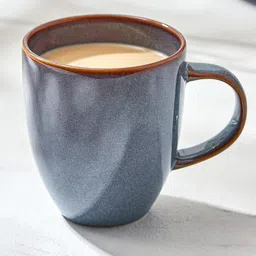 Home Centre Capiz Grigio Grey Solid Porcelain Glossy Coffee Mug 250 ml-45
