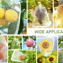 Fruit Protection Fruit Net Bag Reusable Washable 8x12 inch pack of 50 bags Pack of 50 Grocery Bags-image-56