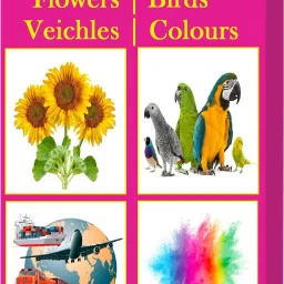 Flash Cards for Kids - 36 Cards & 72 Images - Children Early Learning Flash Cards of Flowers, Vehicles, Colours & Birds-11