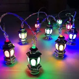 14 LEDs 4 m Silver Steady Lantern Rice Lights-16