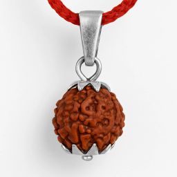 5 Mukhi Rudraaksh Wood Pendant Silver Wood Locket-image-79