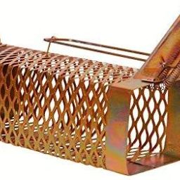 Rat Trap cage/Big Iron Rat Trap for Catching Rats/Mouse Catcher Box/Chuha Live Trap-image-9