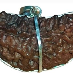 1 Mukhi Rudraksha Collector with Certification ||by Nepali Rudraksh Certified Brass Pendant-image-11