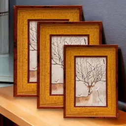 Gold Synthetic Wood (Set of 3) Photoframes by Art Street-picture-1