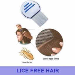 Lice Comb Free Terminator Effective Removing Nits for Kids Treatment.-21